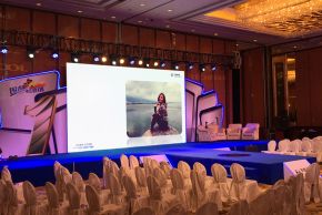 2015年 天普洛安主题晚会