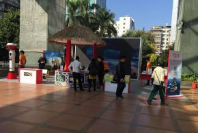 2014年南非推广活动